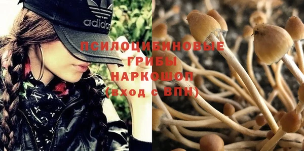 MESCALINE Алзамай