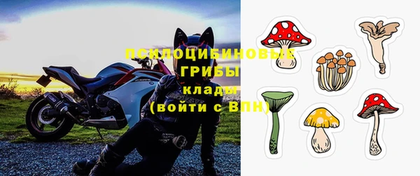 ешки Алексин