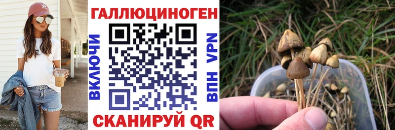 цена   ОМГ ОМГ рабочий сайт  Псилоцибиновые грибы MAGIC MUSHROOMS  Новопавловск 