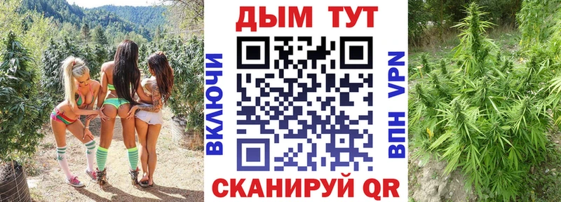 магазин    Новопавловск  Каннабис ГИДРОПОН 